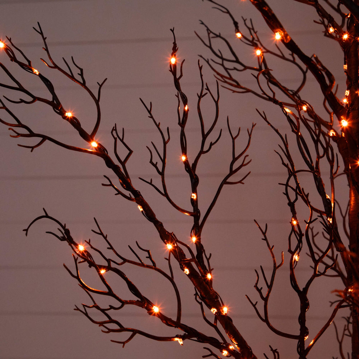 a tree with lights on it