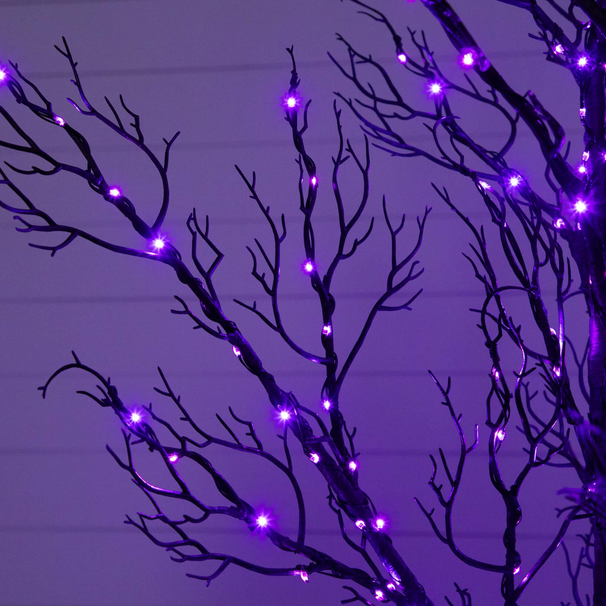 a tree with purple lights