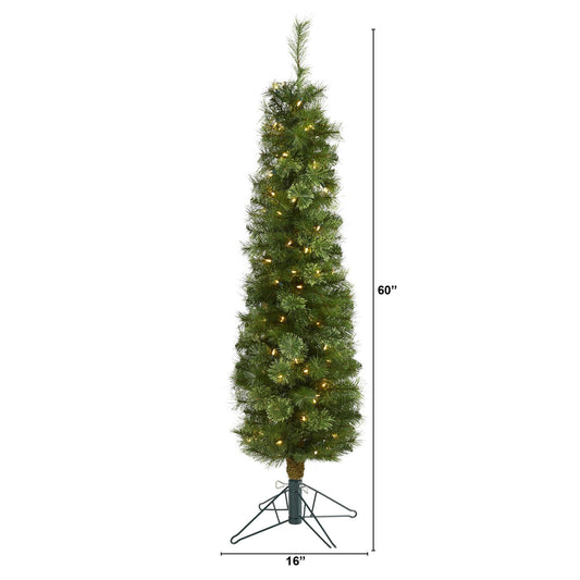 a tall christmas tree with lights