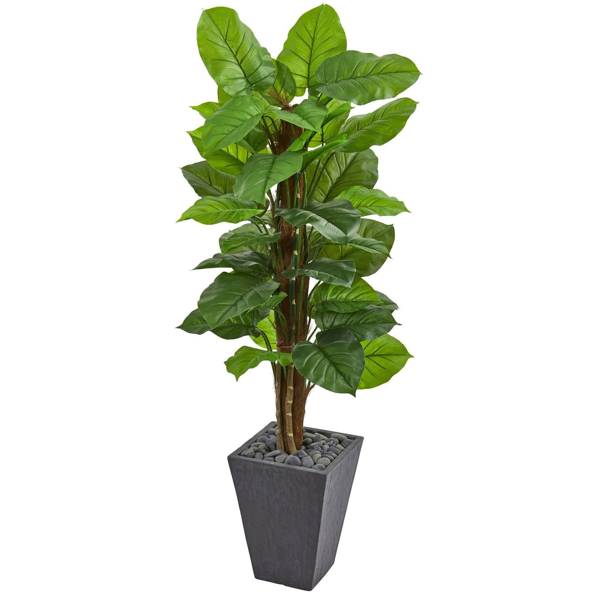 a plant in a pot