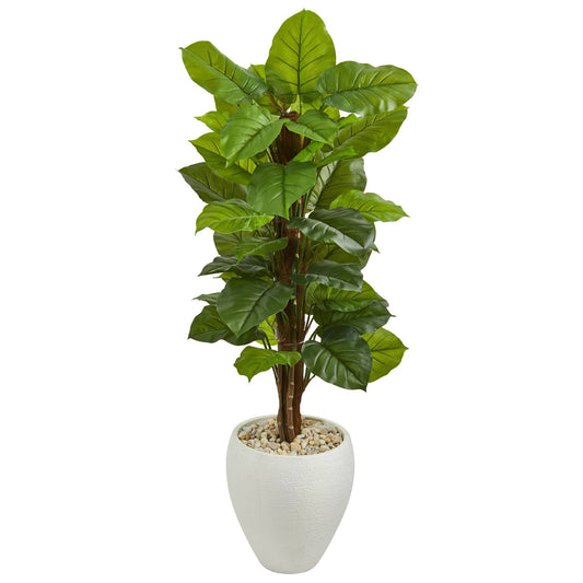 a potted plant with green leaves