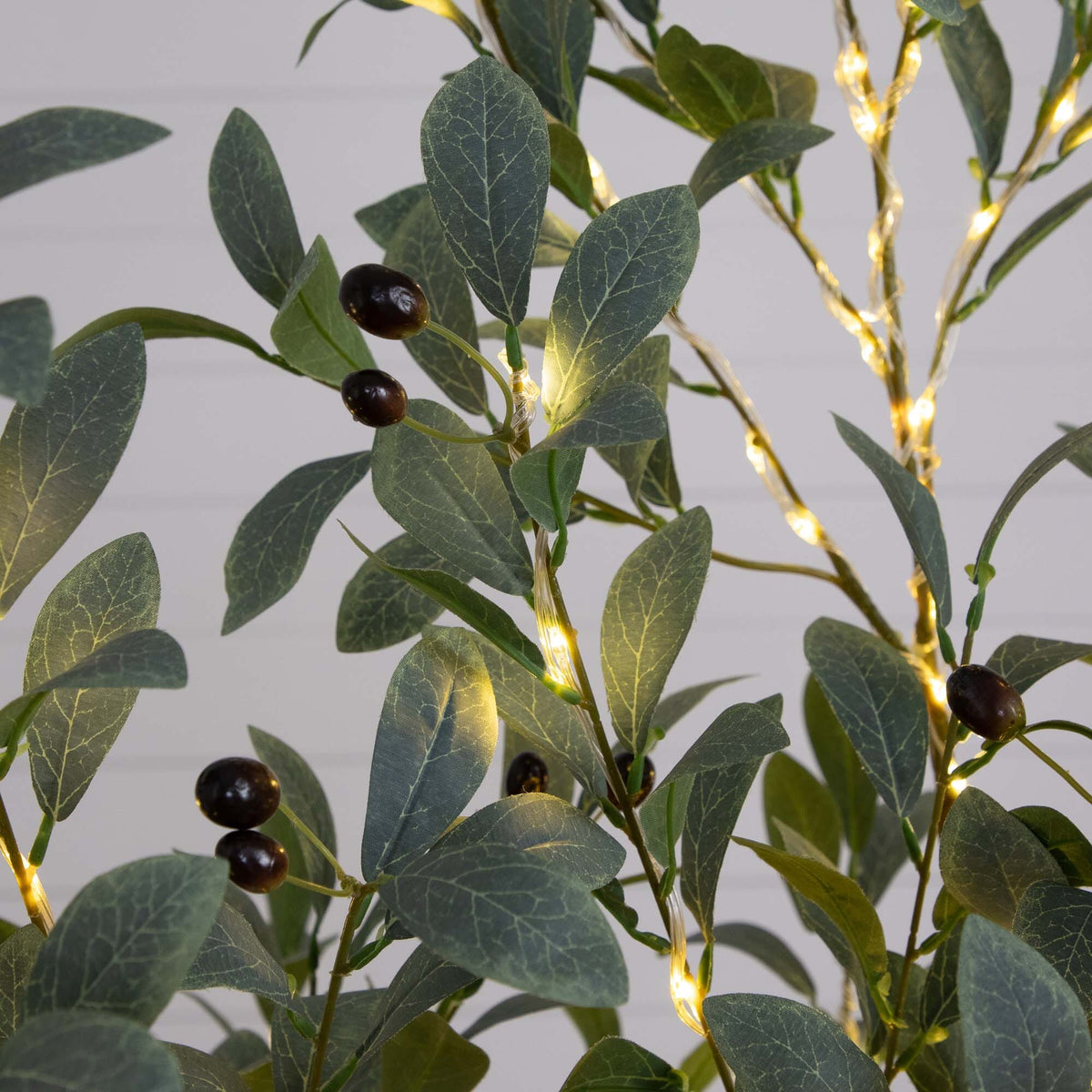a plant with lights on it