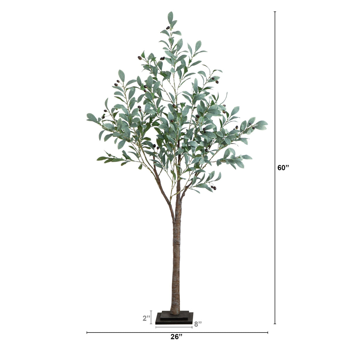 a tall tree with a height of 6 inches