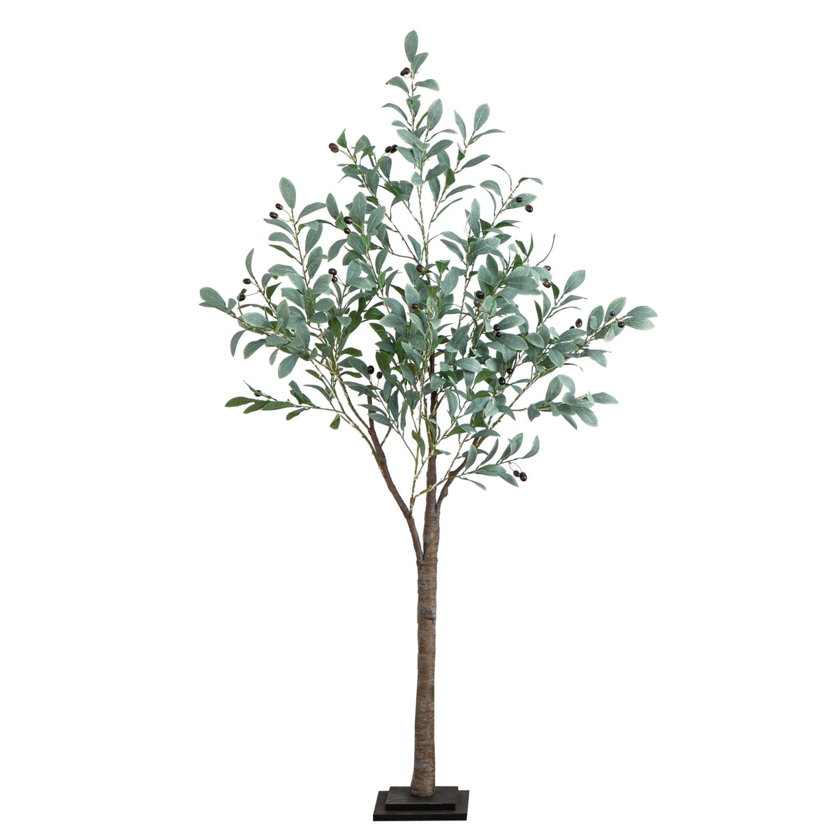 a tree with leaves on it