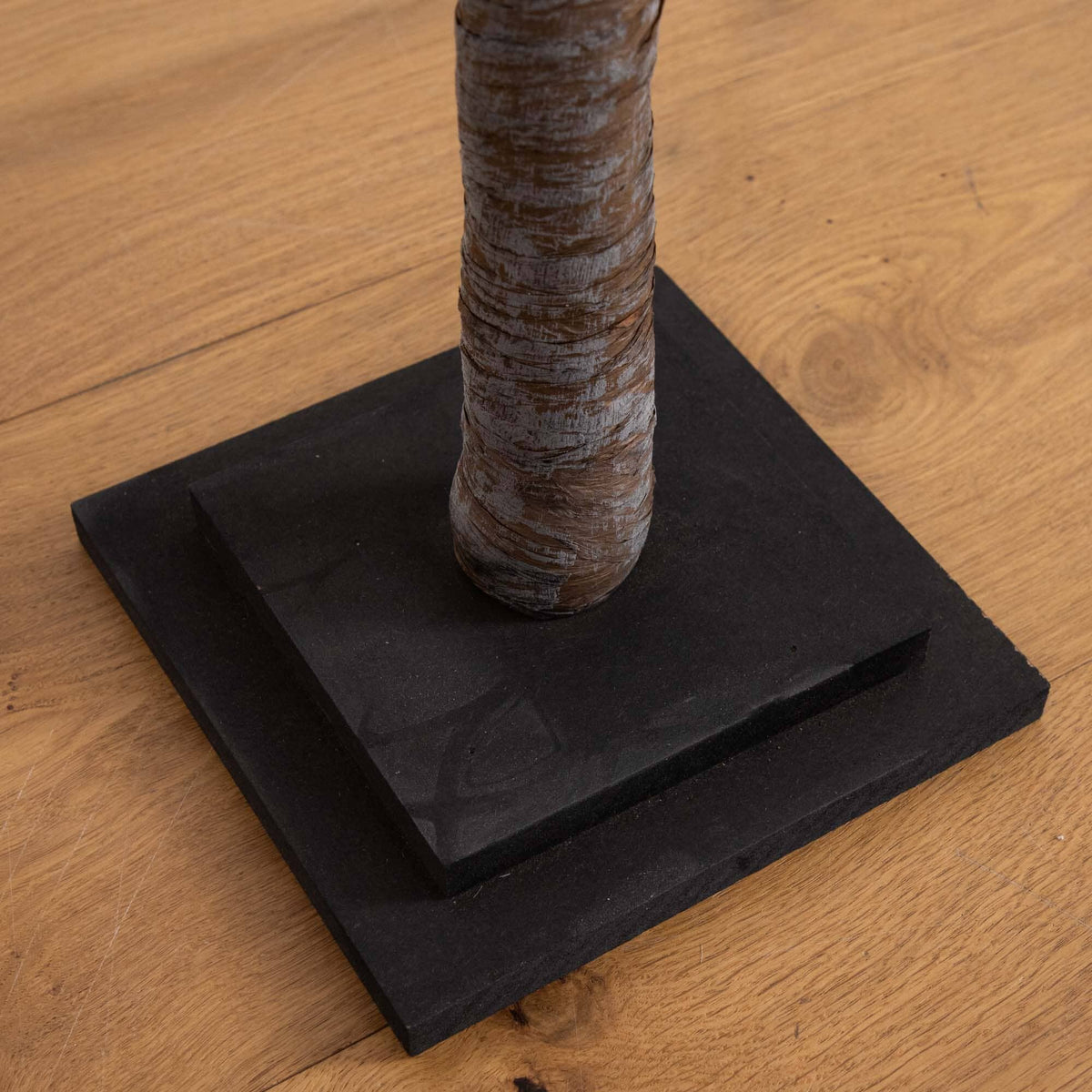 a tree trunk on a black square