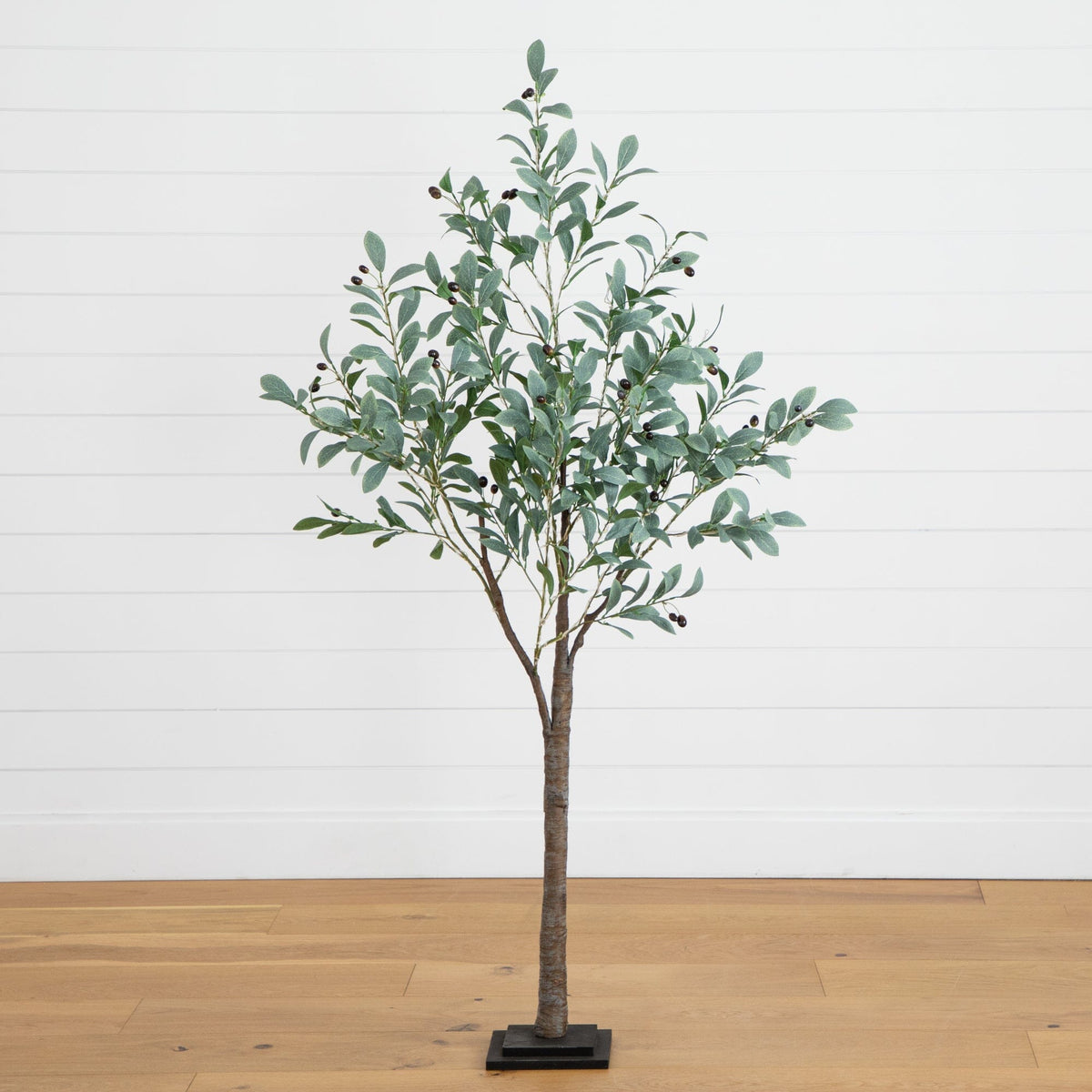 a tree on a wood floor