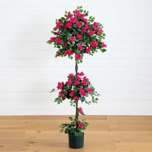 a plant in a pot