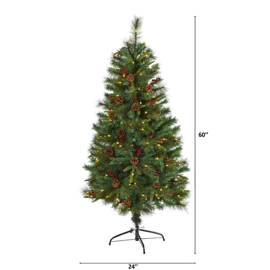 a tall christmas tree with lights and a height chart