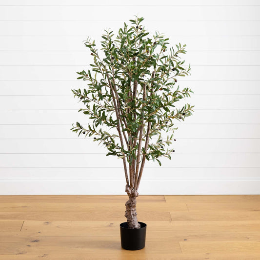 a tree in a pot