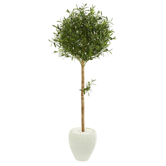 a tree in a pot