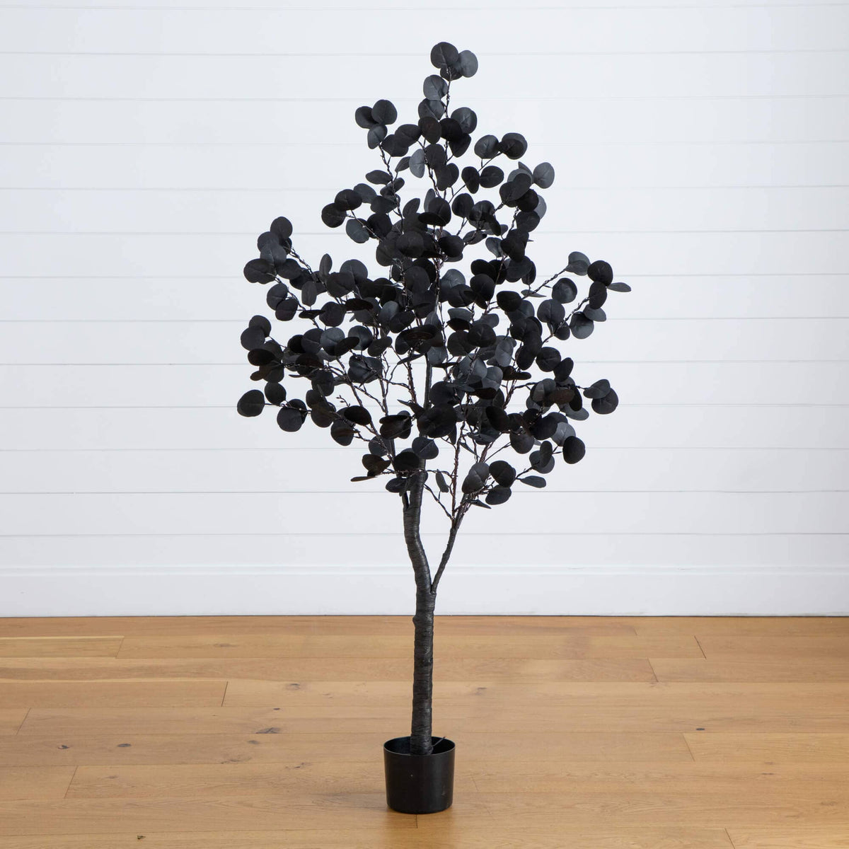 a black plant in a pot