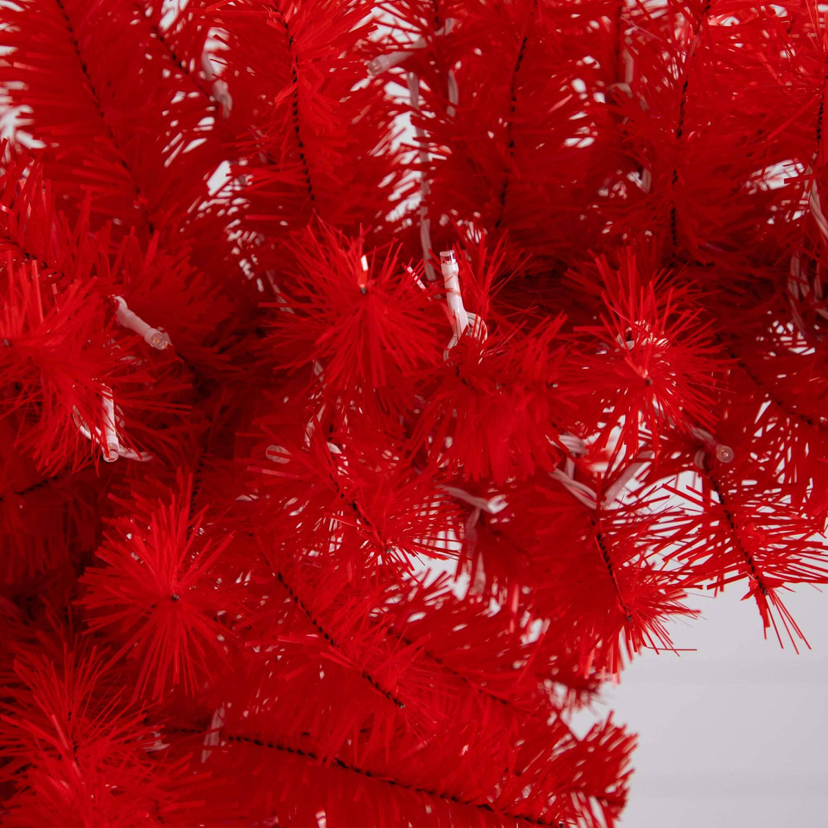 a close up of a red tree
