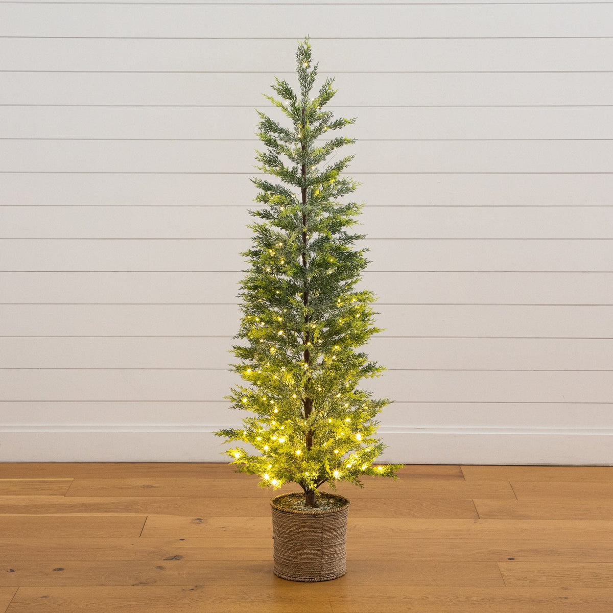 a small tree with lights in a pot