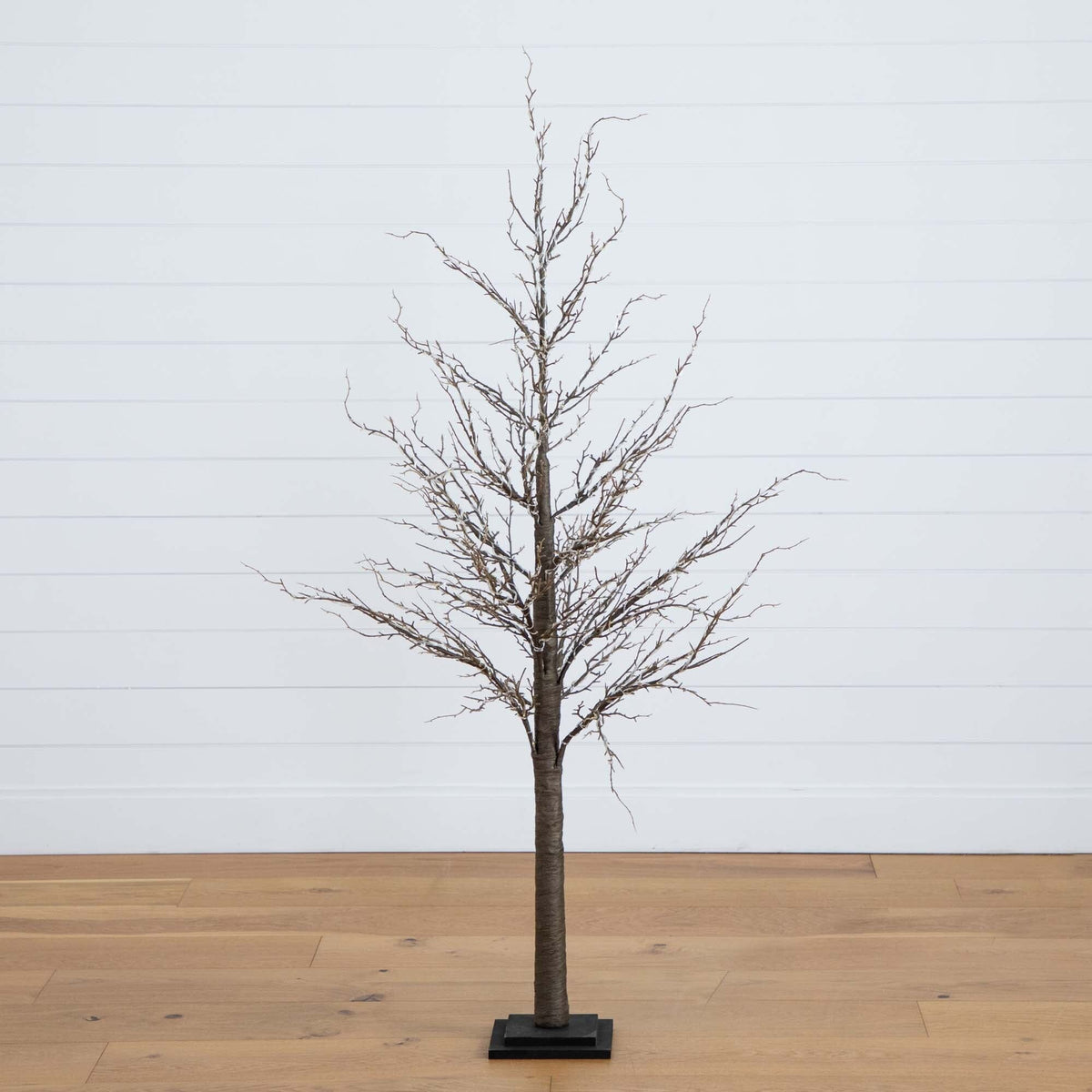 a tree on a wood floor