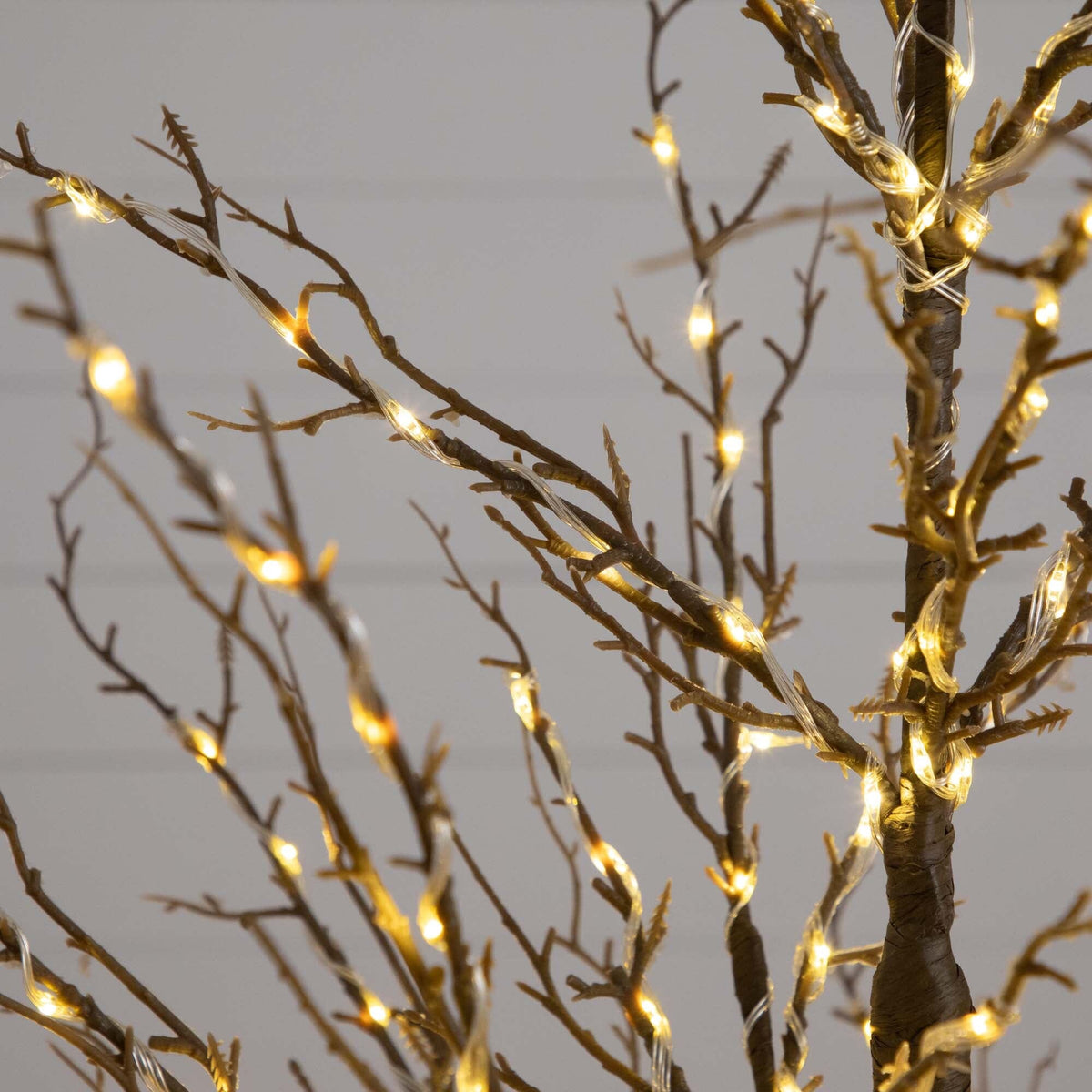 a tree with lights on it