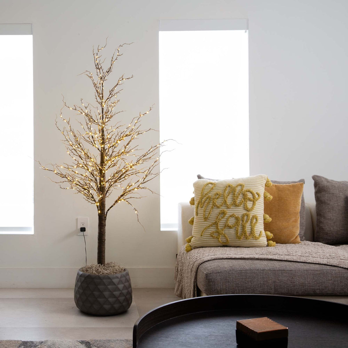 a tree in a pot next to a couch