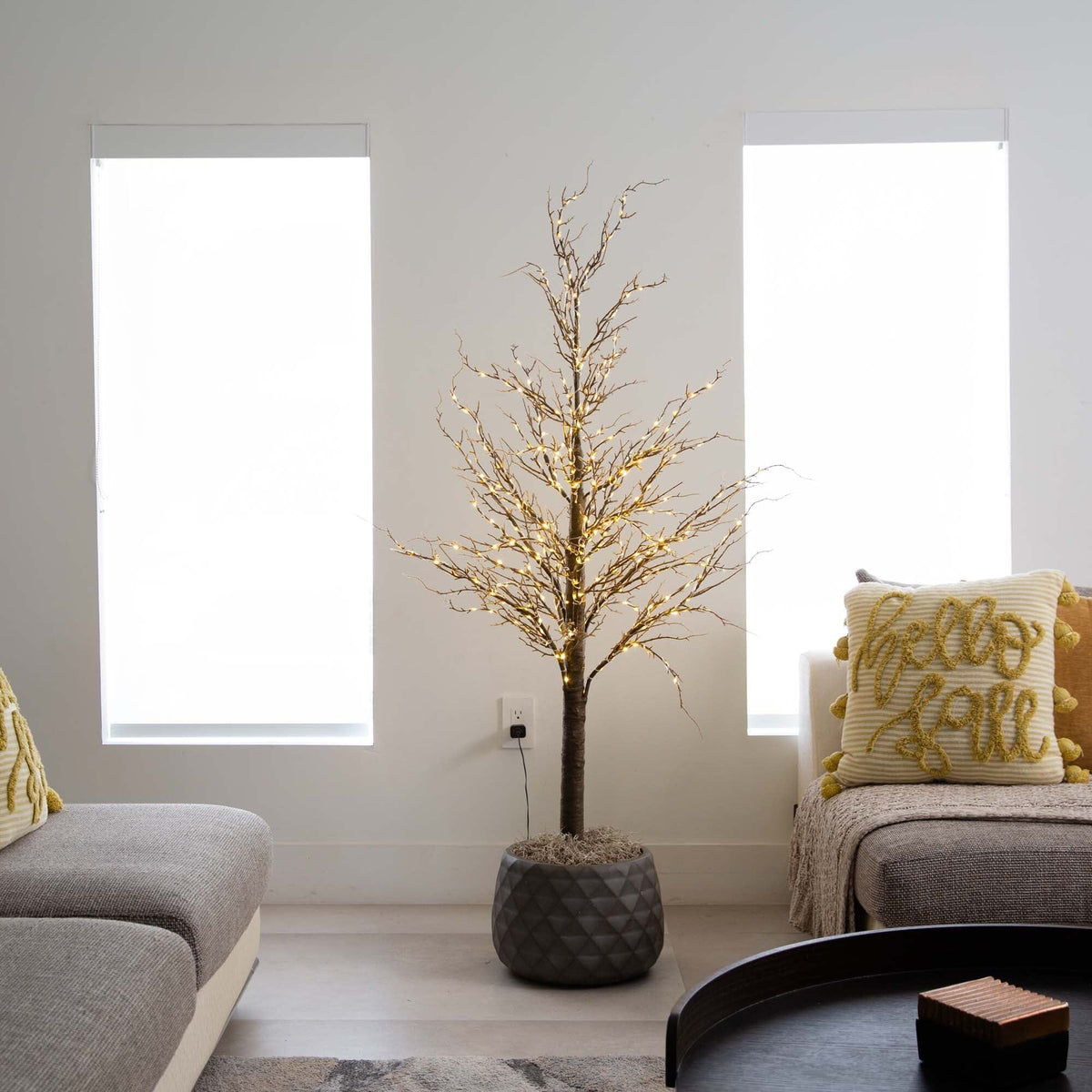 a tree in a pot in front of a couch