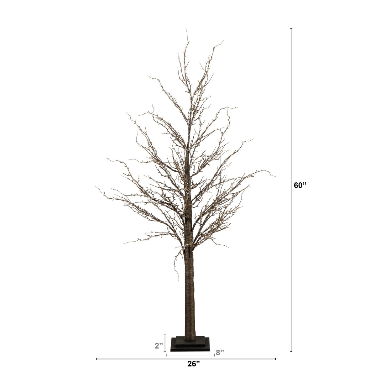 a tree with no leaves