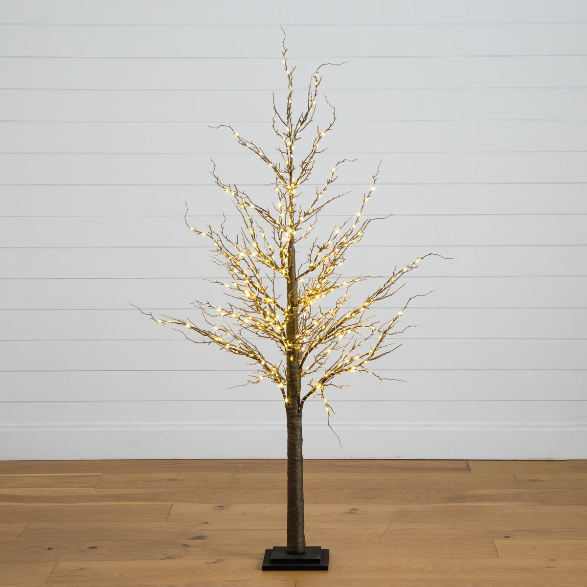 a tree with lights on it