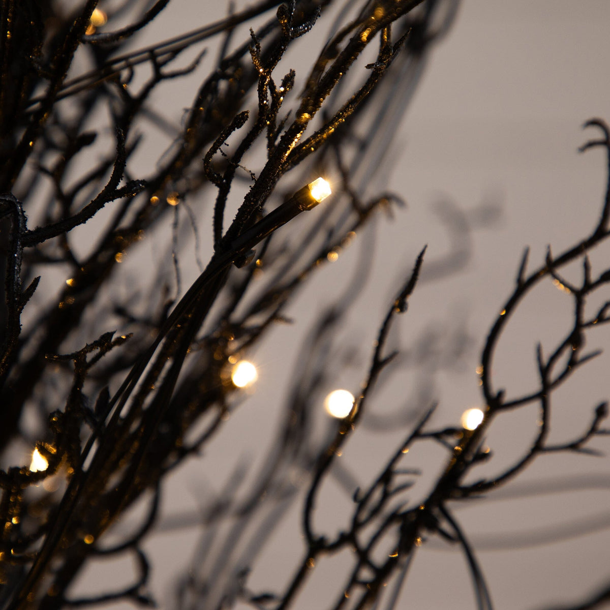 a close up of a tree branch