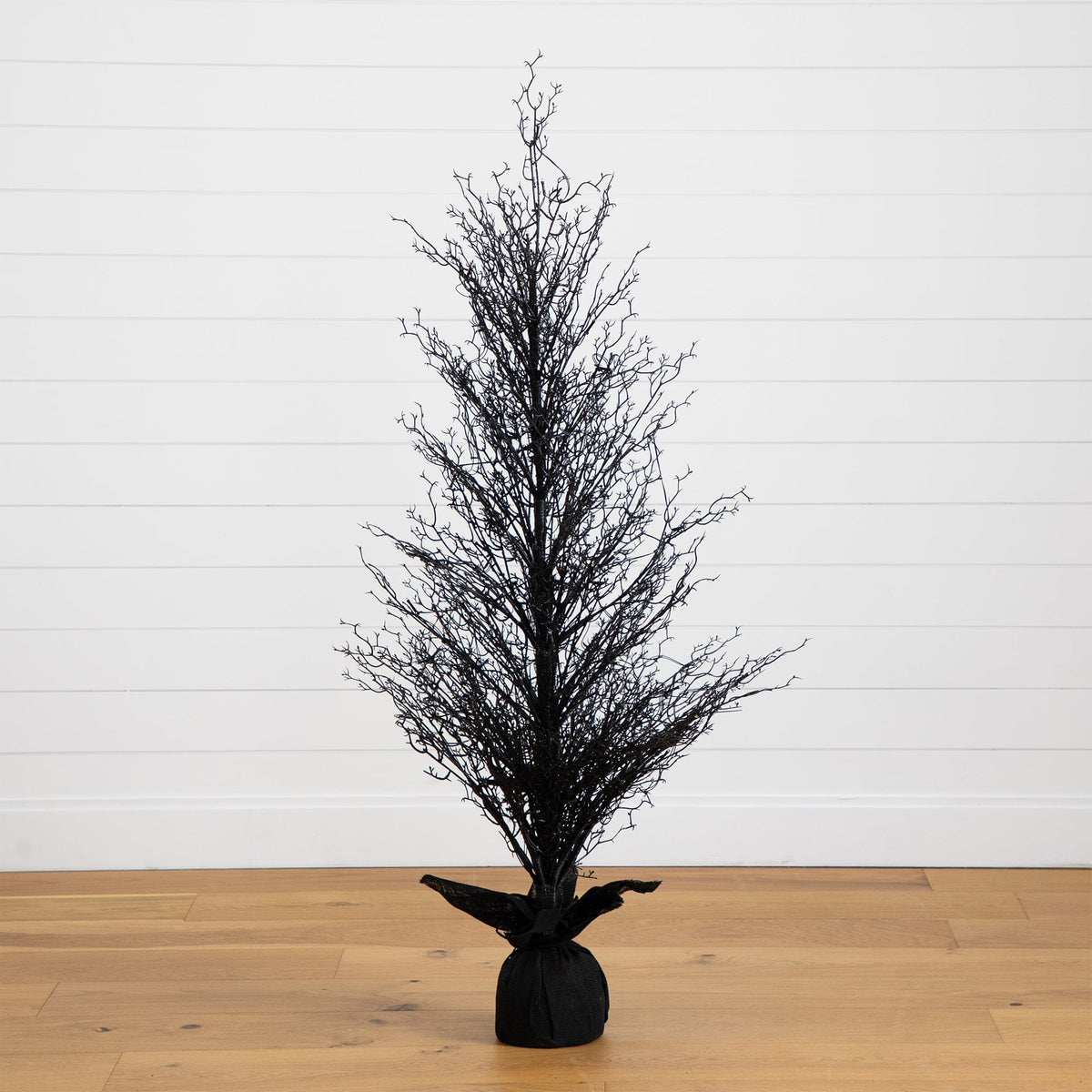 a black plant on a wood floor