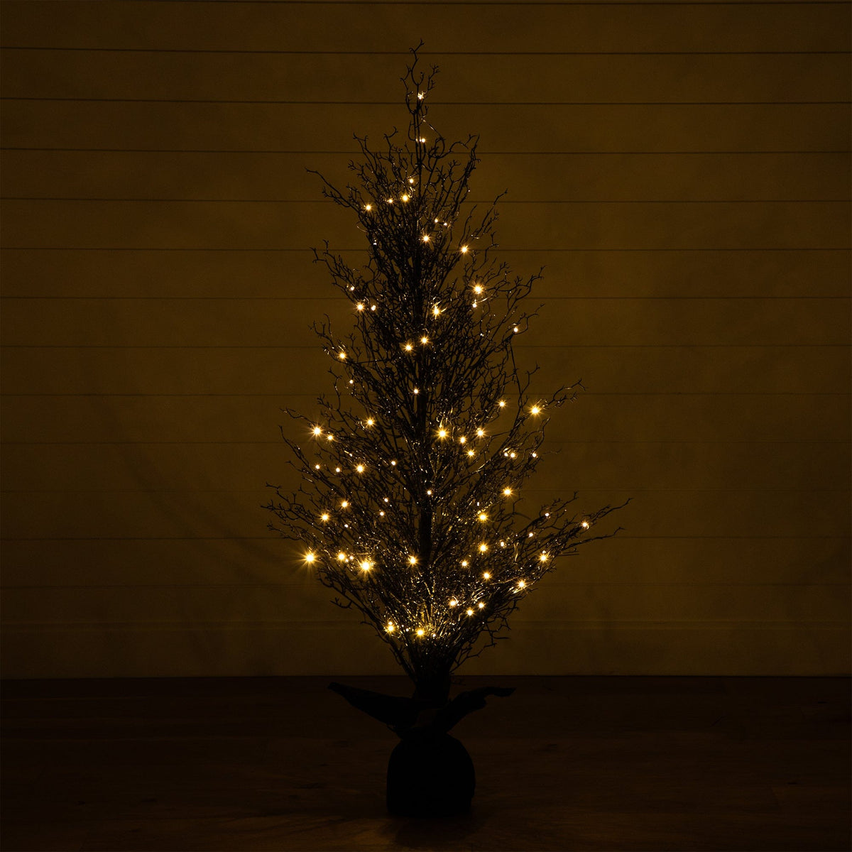 a tree with lights in the dark