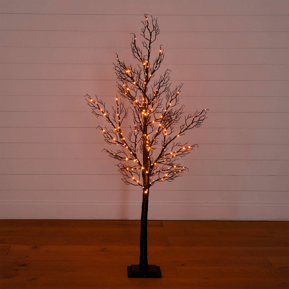 a tree with lights on it