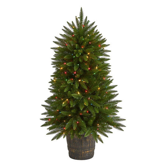 a tree with lights in it