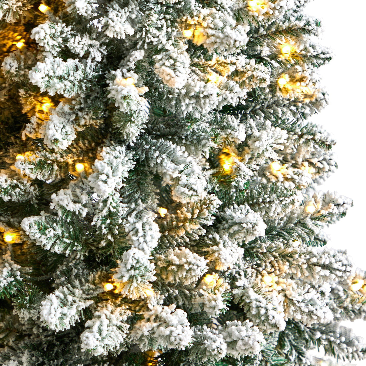 a close up of a christmas tree