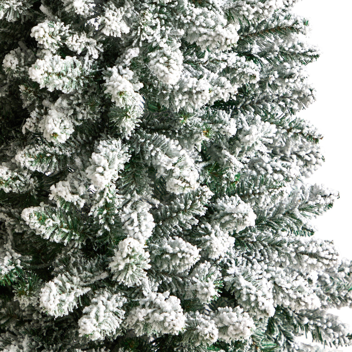 a close up of a tree