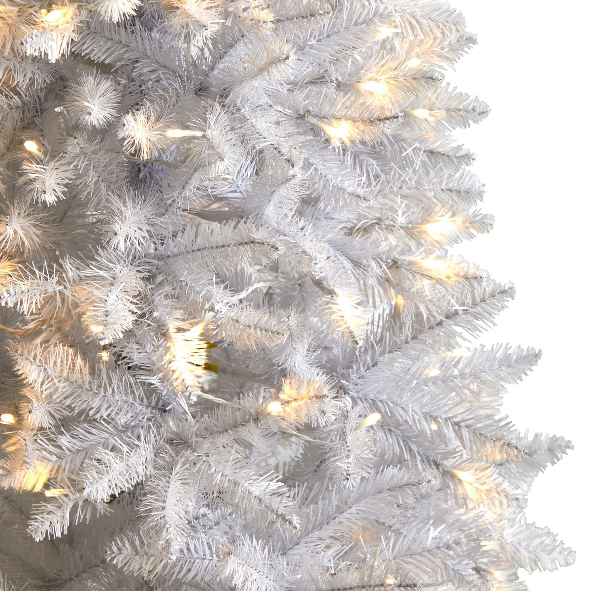 a close up of a white tree