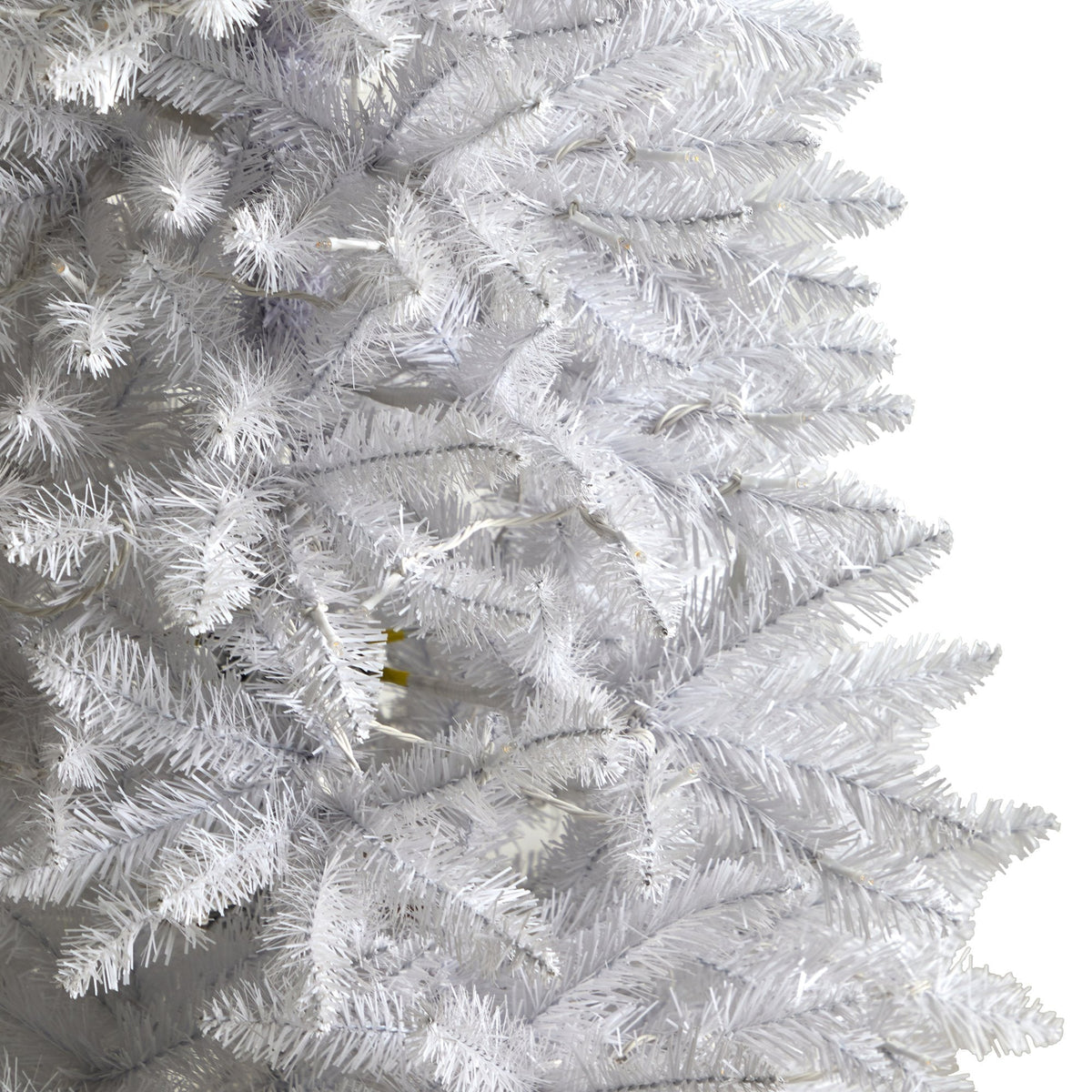 a close up of a white tree