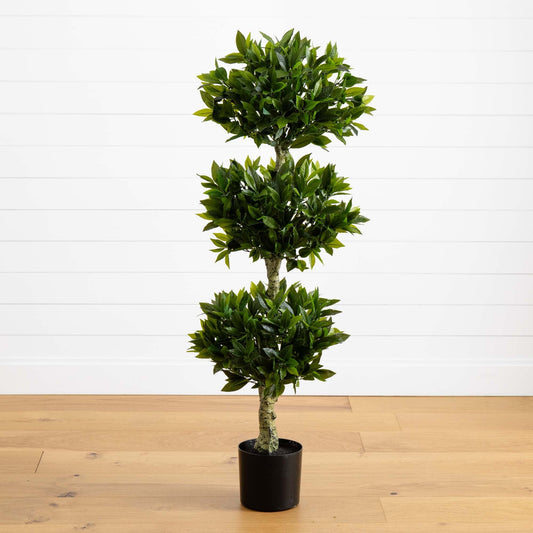 a plant in a pot