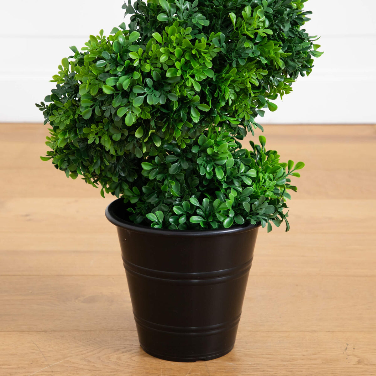 a potted plant on a wood surface