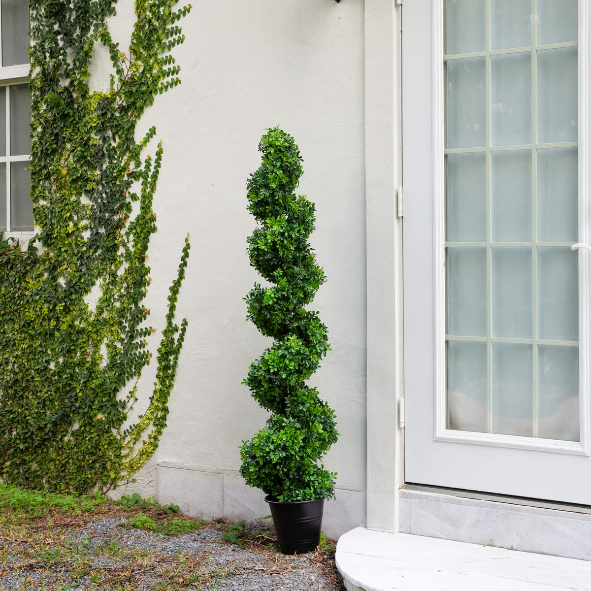 a plant in a pot next to a door