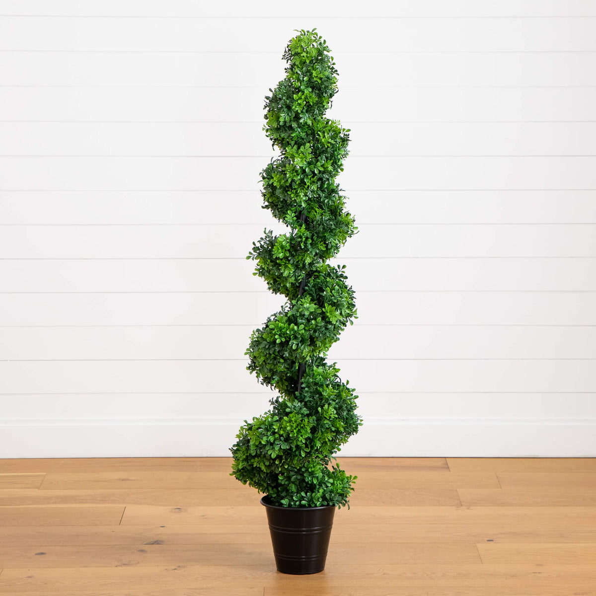 a plant in a pot