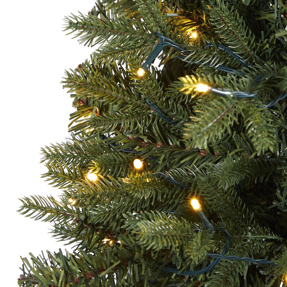 a close up of a christmas tree