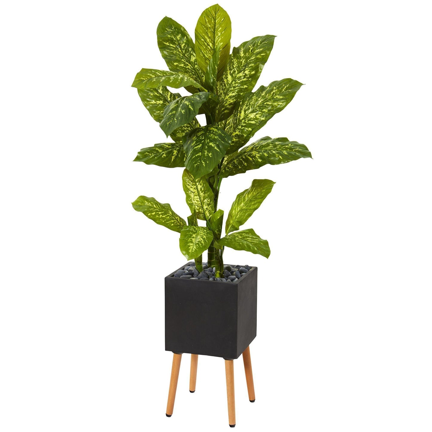 52” Dieffenbachia Artificial Plant in Black Planter with Stand (Real Touch)