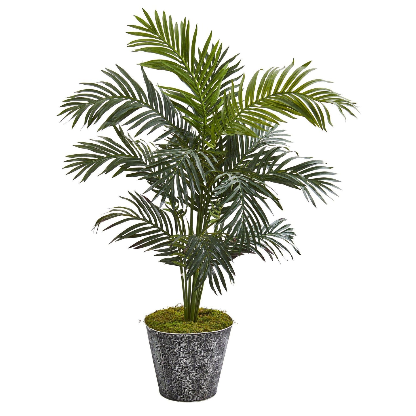 52” Paradise Palm Artificial Tree in Black Embossed Tin Planter