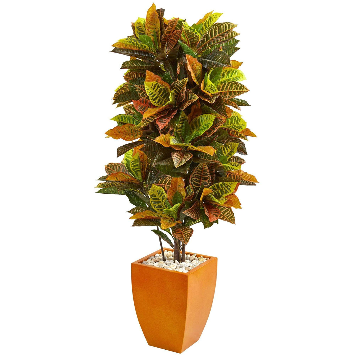 a plant in a pot