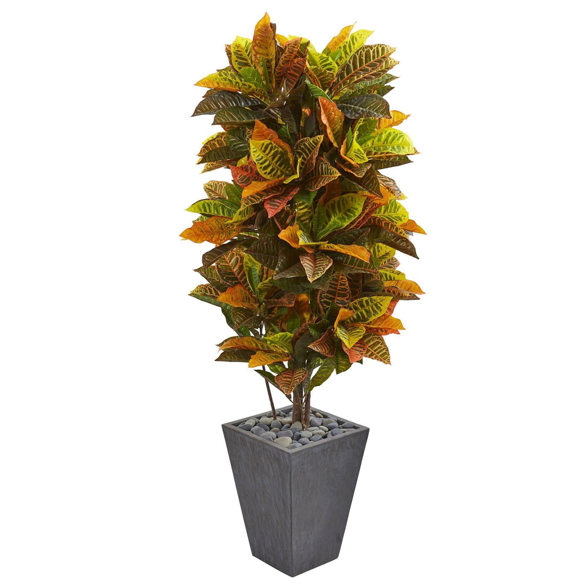 a plant in a pot