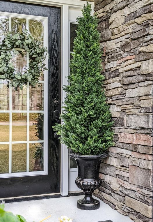 a tree in a pot next to a door