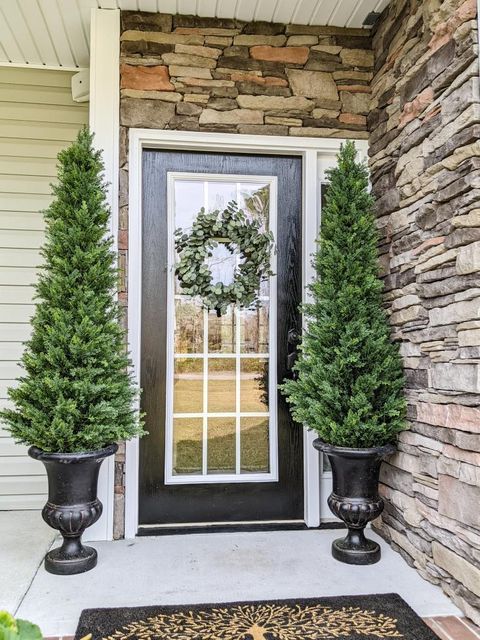 a front door with two trees in pots