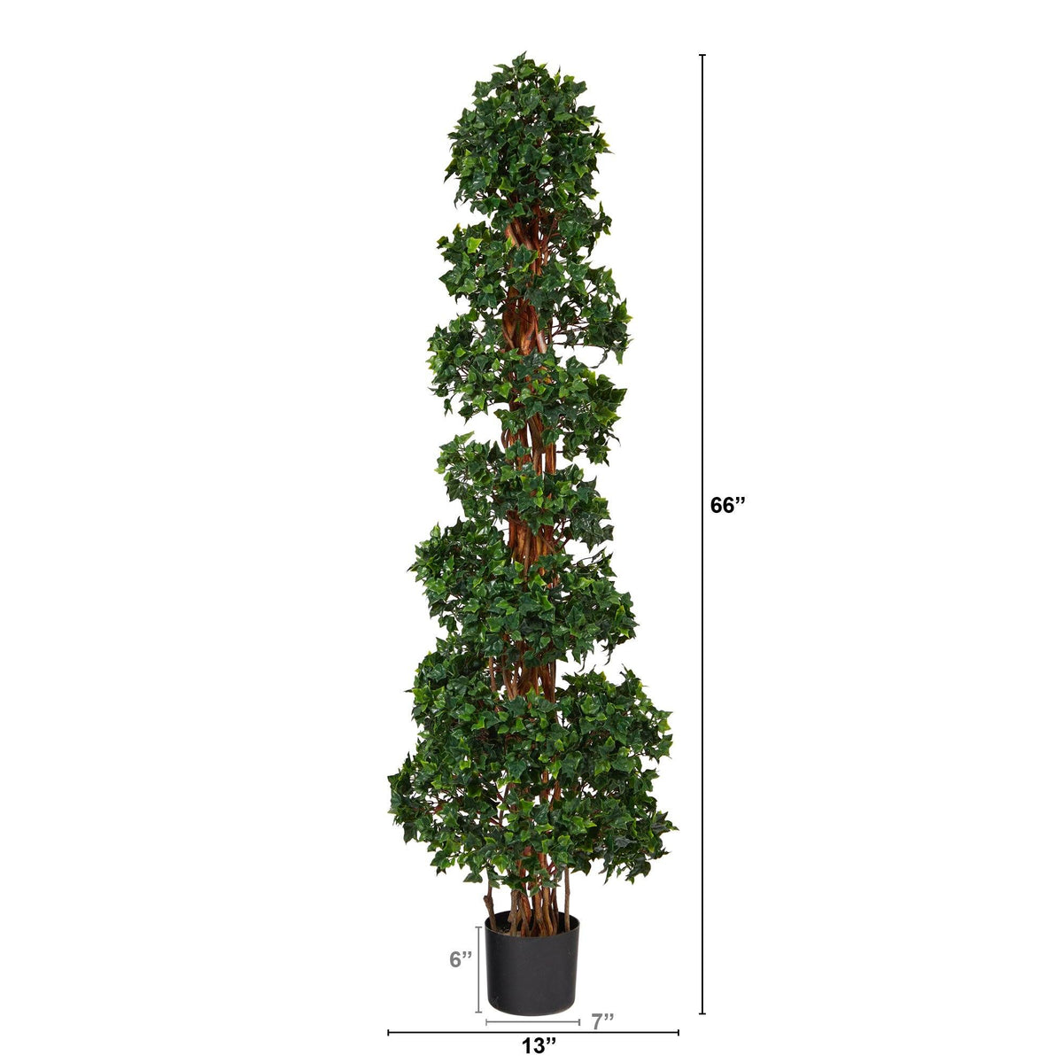 a tall tree with a height of 6 inches