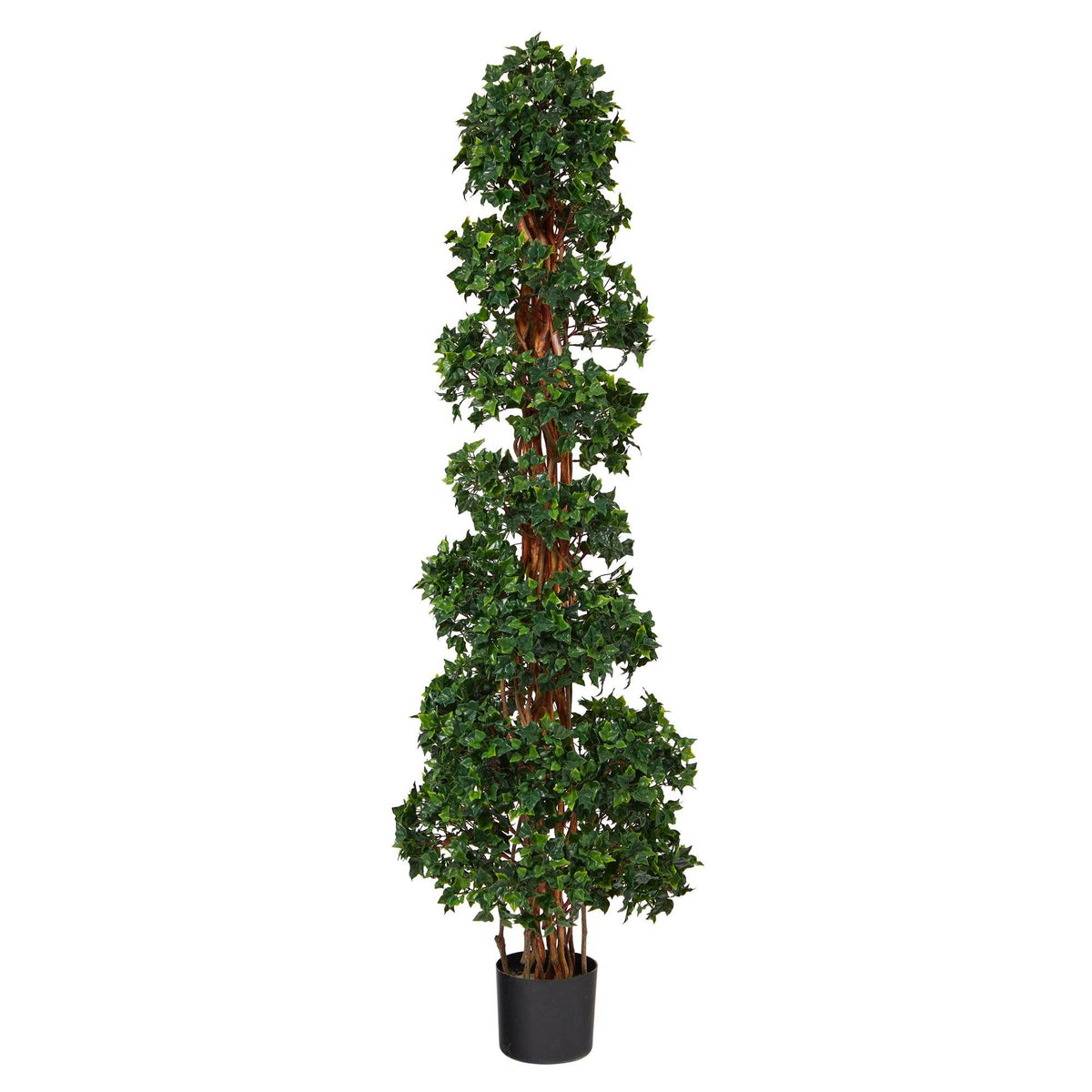 a tall plant in a pot