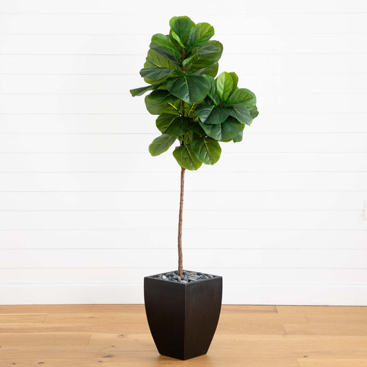 a plant in a pot