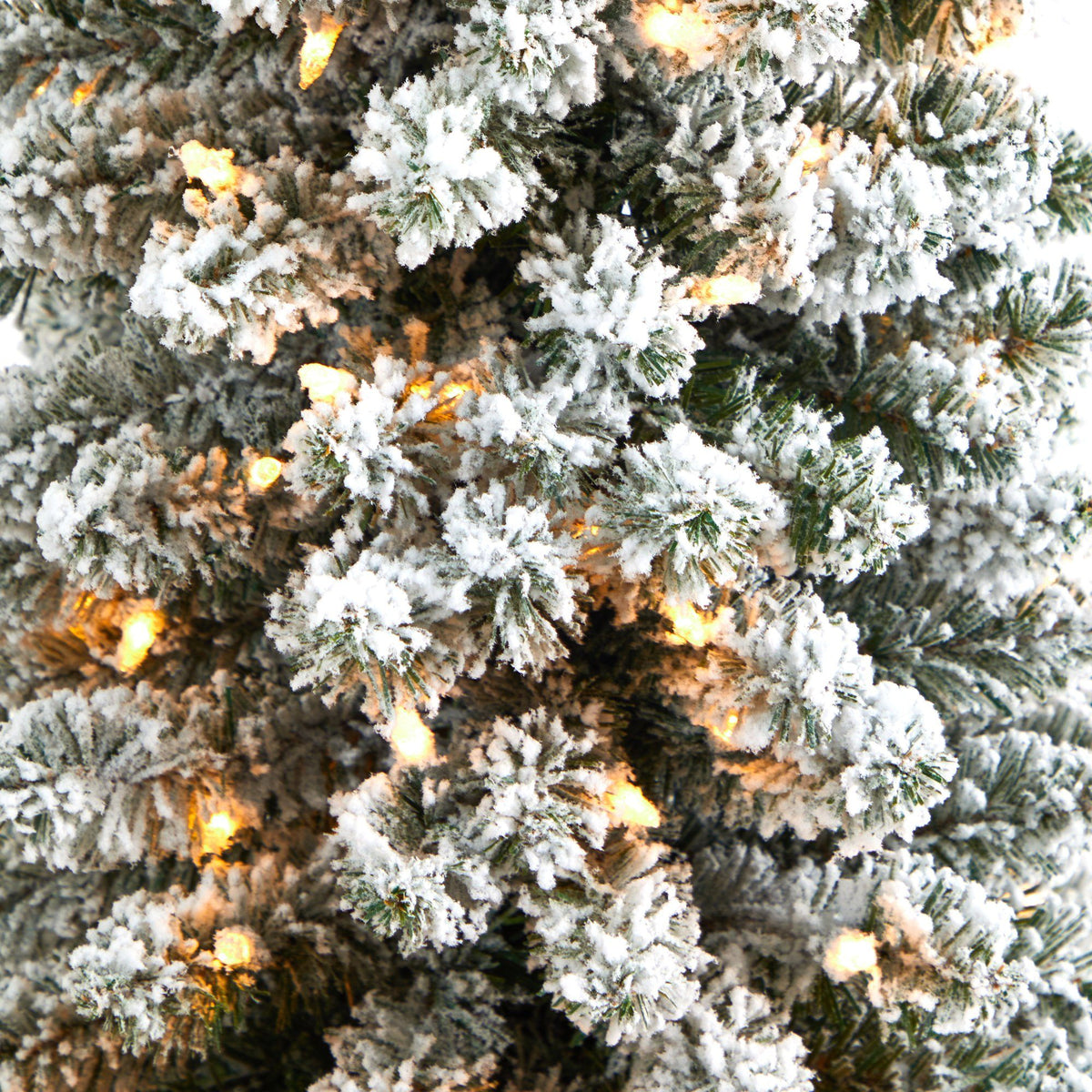 a close up of a tree