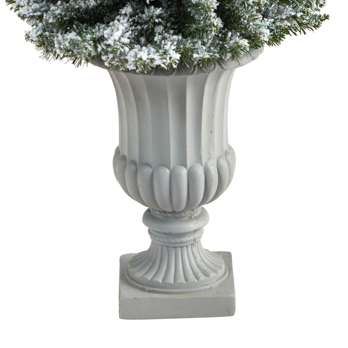 a plant in a vase