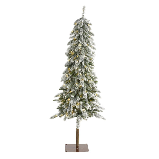 a christmas tree with lights