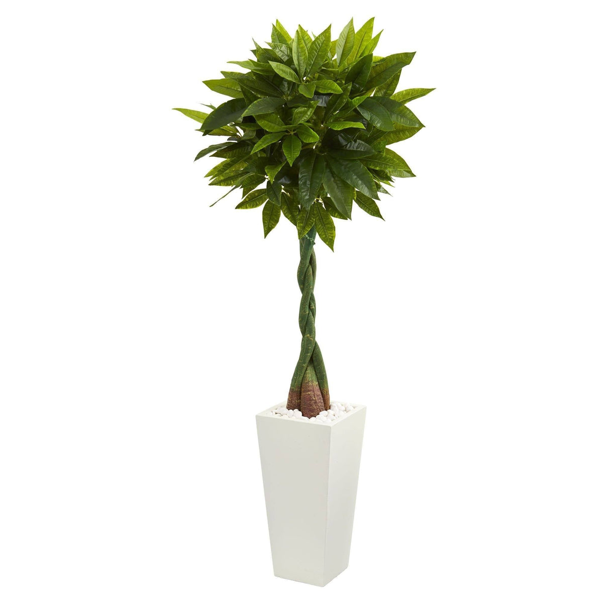 a plant in a white pot